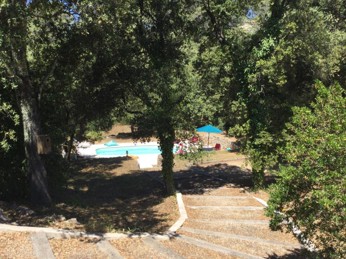 Villa Bleucassis Taradeau Luaran gambar